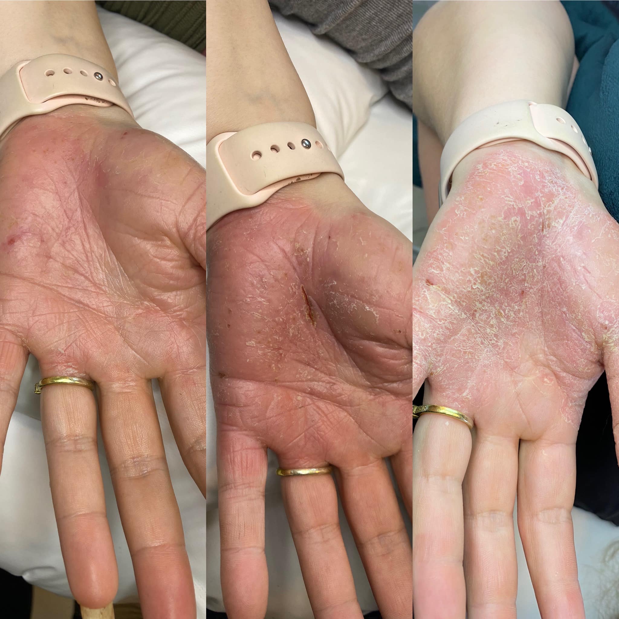 275413128_10158562607418616_7240156761559719815_n