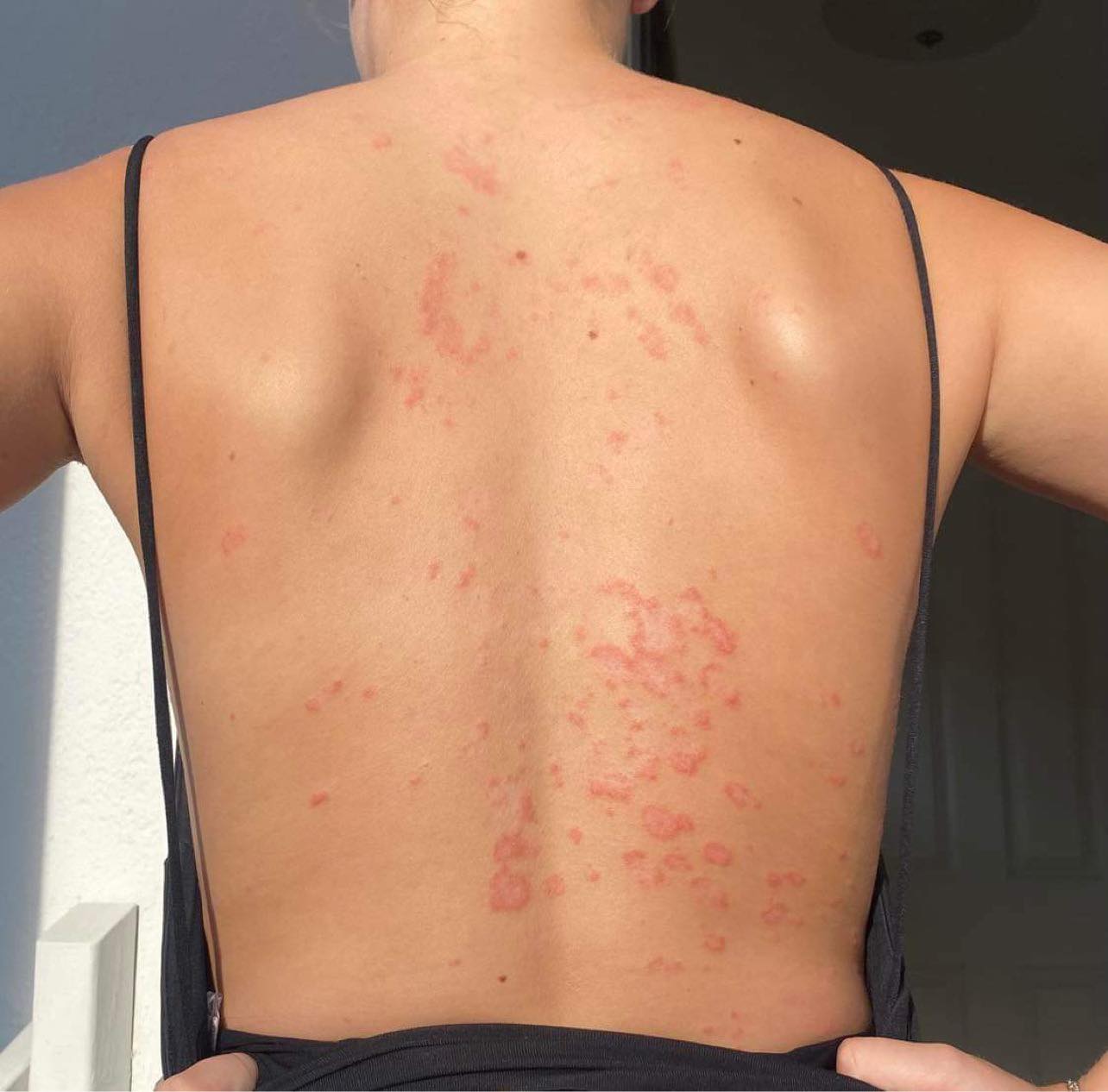 363242182_2064042087268204_5720057246708773502_n